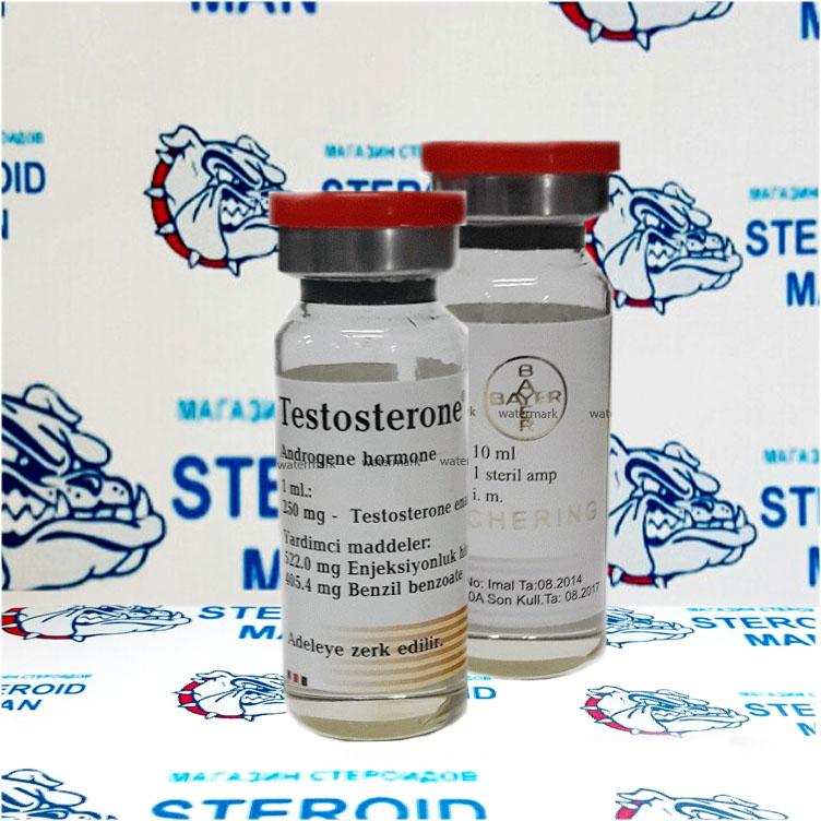 Тестостерон Энантат — цена и доставка